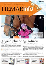 Nr 1, 2013